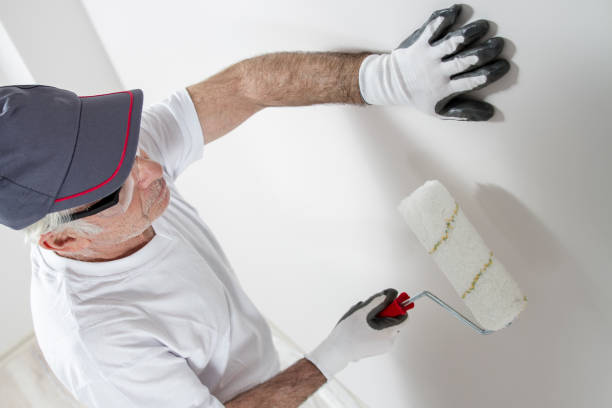 Best Mold Remediation for Healthcare Facilities  in Dasher, GA