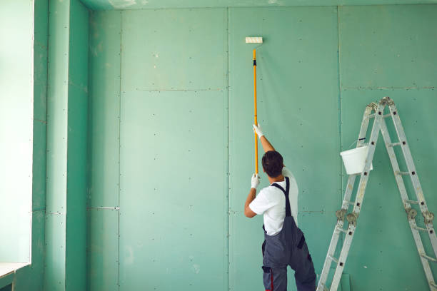 Best Black Mold Removal  in Dasher, GA