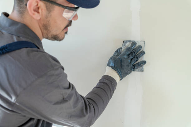 Best Post-Construction Mold Inspection  in Dasher, GA