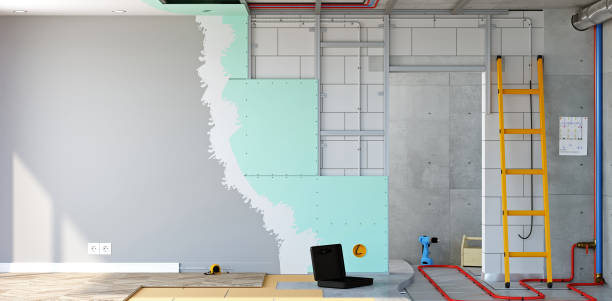 Best HVAC Mold Inspection and Cleaning  in Dasher, GA