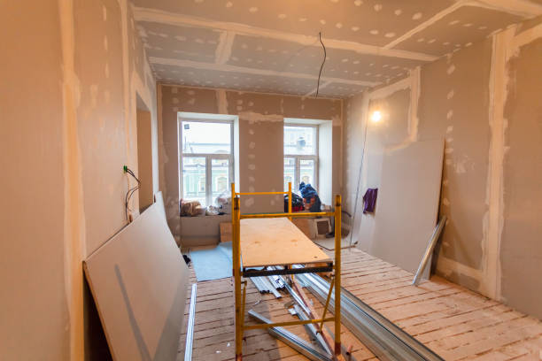 Mold Odor Removal Services in Dasher, GA